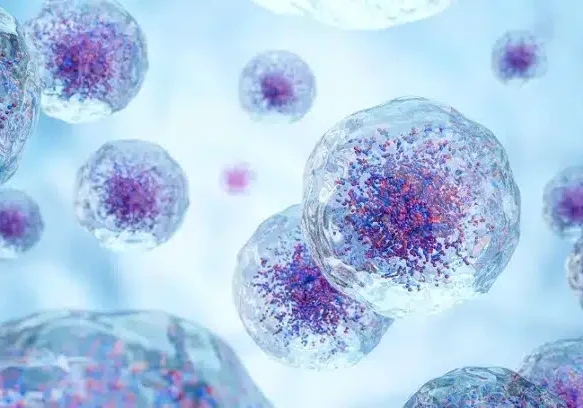 Human20Cell20Design.jpg Human20Cell20Design.jpg