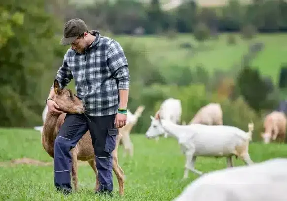 Bien20etre20animal.jpg